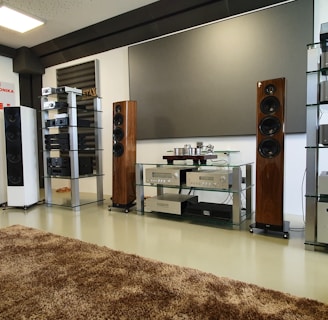 A spacious audio equipment showroom featuring a variety of high-end sound systems. Several tall speakers are aligned against the walls, displaying sleek wooden and metallic finishes. Electronics such as amplifiers and receivers are arranged on modern glass shelves, and a large, plush brown rug covers the floor. A sign on the left side suggests a focus on luxury electronics.